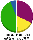 佐々木建設 貸借対照表 2009年3月期
