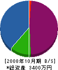 美笠園 貸借対照表 2008年10月期
