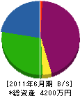 吉松電気工事 貸借対照表 2011年6月期