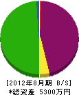 新川インダストリ 貸借対照表 2012年8月期