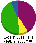 曽我塗装店 貸借対照表 2009年12月期