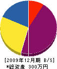 田＊電建 貸借対照表 2009年12月期
