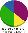 渡辺興業 貸借対照表 2012年9月期