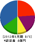 大竹組 貸借対照表 2012年6月期