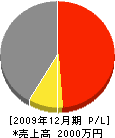 上田電機工業所 損益計算書 2009年12月期