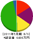 村崎組 貸借対照表 2011年5月期