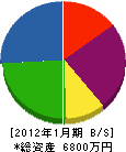 斉藤工業 貸借対照表 2012年1月期