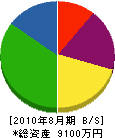豊島建設 貸借対照表 2010年8月期