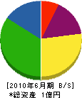 九栄電機 貸借対照表 2010年6月期