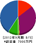 田島建設 貸借対照表 2012年9月期