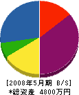 藤井電機 貸借対照表 2008年5月期