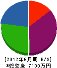 藤田設備 貸借対照表 2012年6月期