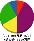 川島工業 貸借対照表 2011年9月期