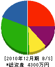 藤井電業 貸借対照表 2010年12月期