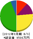 長谷川設備 貸借対照表 2012年9月期