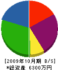 湯川組 貸借対照表 2009年10月期