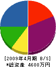 海生電気 貸借対照表 2009年4月期