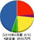 尾崎土木 貸借対照表 2010年6月期