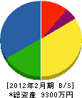 穂高電気工事 貸借対照表 2012年2月期