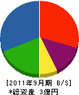 湘南いざわ 貸借対照表 2011年9月期