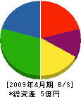 吉田ビニール 貸借対照表 2009年4月期