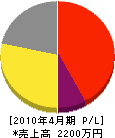 小沢電工 損益計算書 2010年4月期