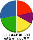 宮田電機商会 貸借対照表 2012年4月期