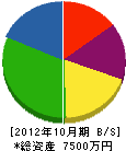システム久保田 貸借対照表 2012年10月期