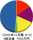 讃高土木 貸借対照表 2008年12月期