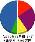松本電気商会 貸借対照表 2010年12月期