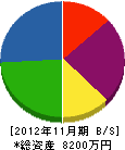 新千葉電設 貸借対照表 2012年11月期