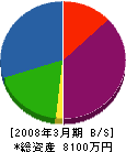 東洋興産 貸借対照表 2008年3月期