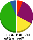新栄丸 貸借対照表 2012年6月期