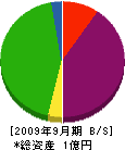 倉田工務店 貸借対照表 2009年9月期