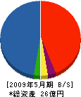 渡嘉敷組 貸借対照表 2009年5月期