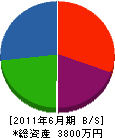 冨士電気商会 貸借対照表 2011年6月期