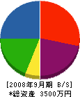 石沢工業 貸借対照表 2008年9月期