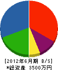 千代田電気商会 貸借対照表 2012年6月期