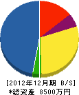 十和田水道設備 貸借対照表 2012年12月期