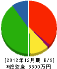 アベ総業 貸借対照表 2012年12月期