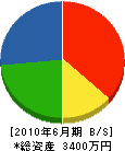 ヤマサ工業 貸借対照表 2010年6月期
