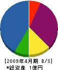 権田建設 貸借対照表 2009年4月期