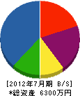 細田電気工事 貸借対照表 2012年7月期