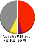 武蔵野技建 損益計算書 2012年9月期