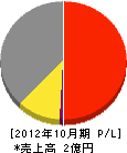 昭電工業 損益計算書 2012年10月期