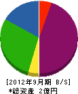 テクノ神尾 貸借対照表 2012年9月期