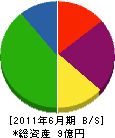 川嶋機械 貸借対照表 2011年6月期