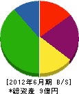 川嶋機械 貸借対照表 2012年6月期