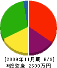 野村屋工務店 貸借対照表 2009年11月期