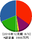 渡邉塗装店 貸借対照表 2010年12月期